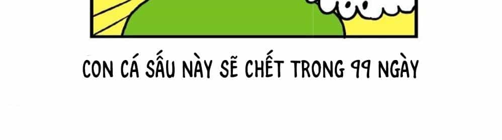 100 Ngày Nữa Con Cá Sấu Này Sẽ Chết - Chương 1 - ảnh 3