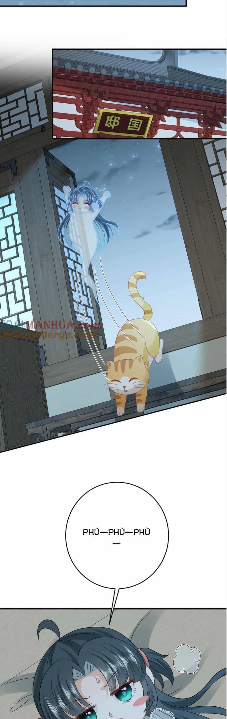 3 Kiếp Xui Xẻo, Kiếp Này Cùng Ta Thần Kinh - Chương 113 - ảnh 11