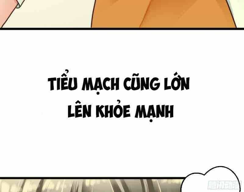 Ác Ma Chủ Tịch Xin Buông Tay - Chương 1 - ảnh 23