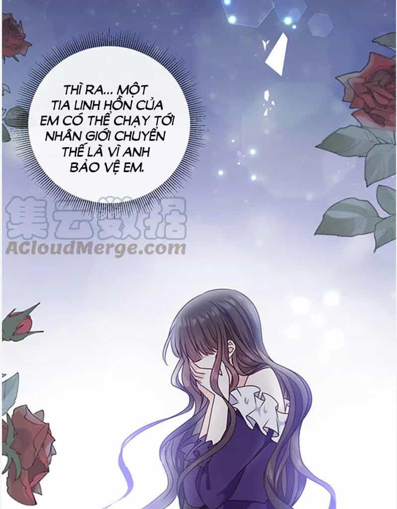 Ác Ma Đừng Hôn Tôi - Chương 156 - ảnh 35