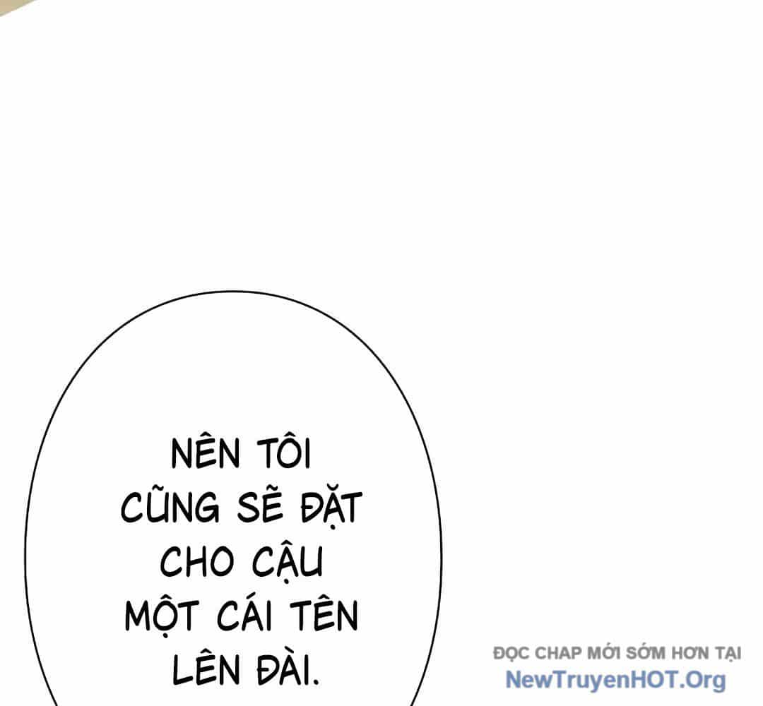 Ác Nhân Lồng Bát Giác - Chương 31 - ảnh 17