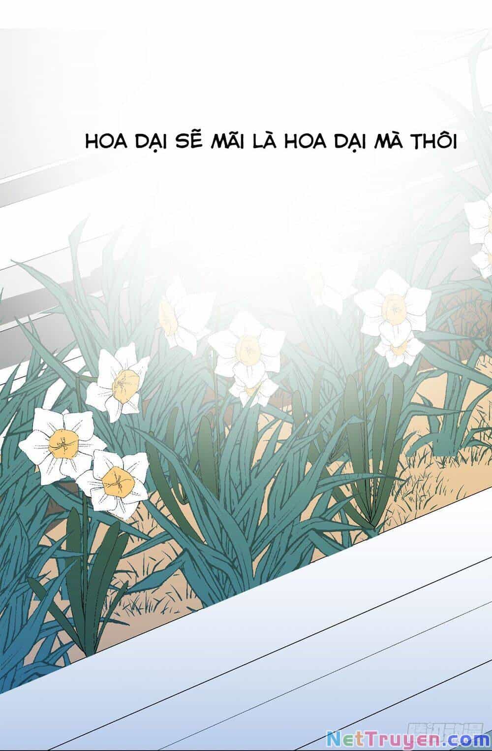 Acup Tiên Sinh - Chương 37 - ảnh 19