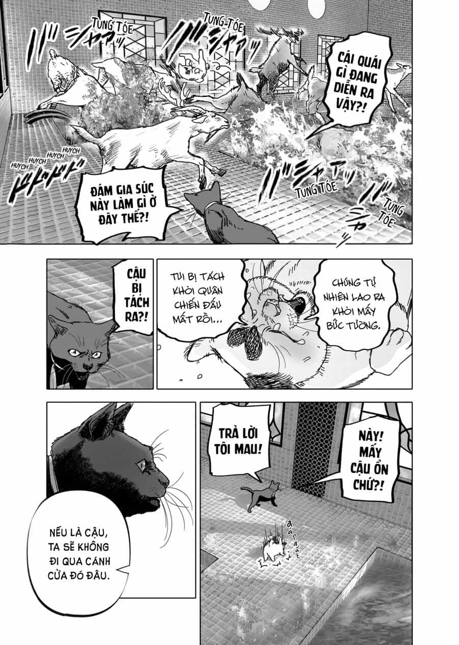 After God - Chuong 41 - ảnh 13