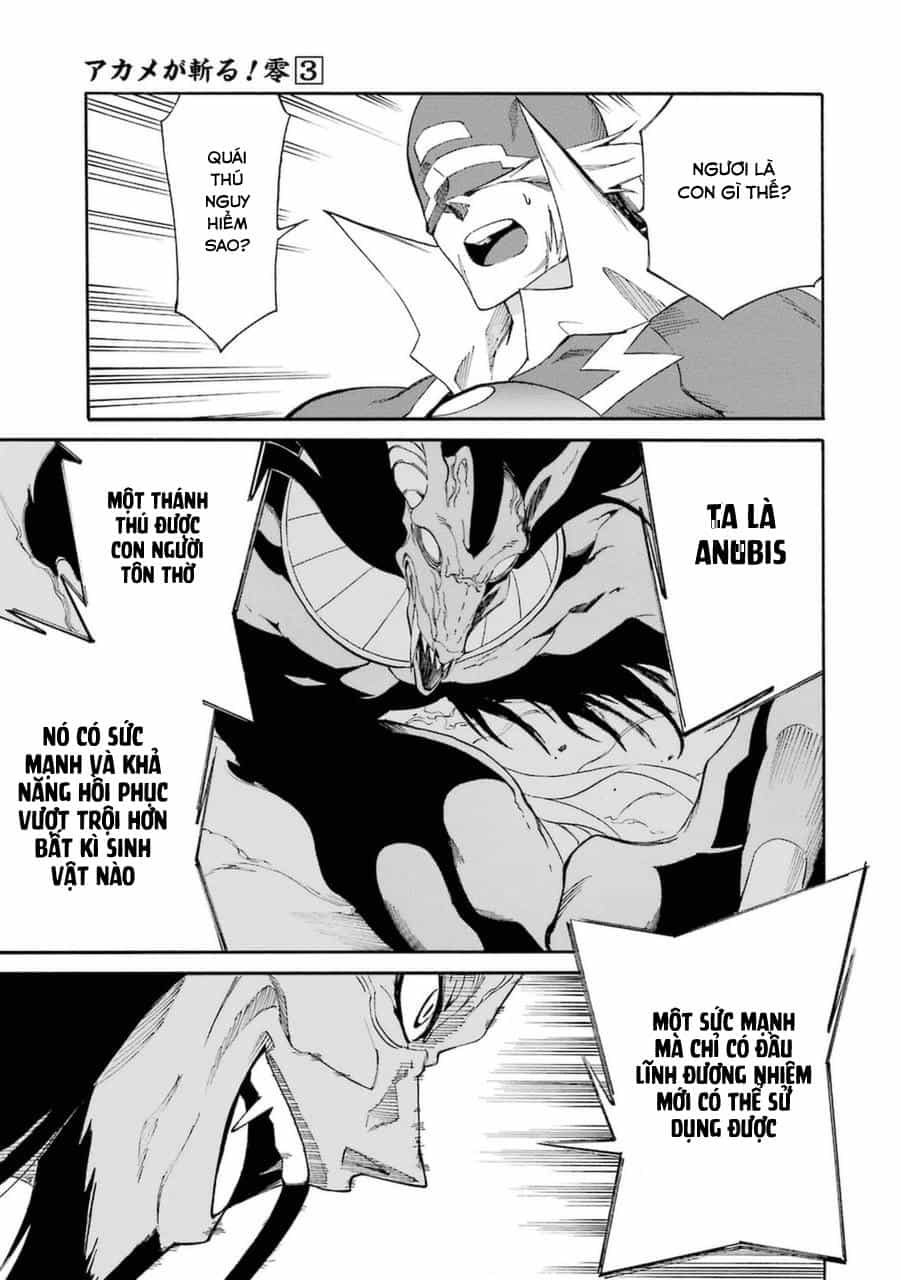 Akame Ga Kill! Zero - Chương 20 - ảnh 9