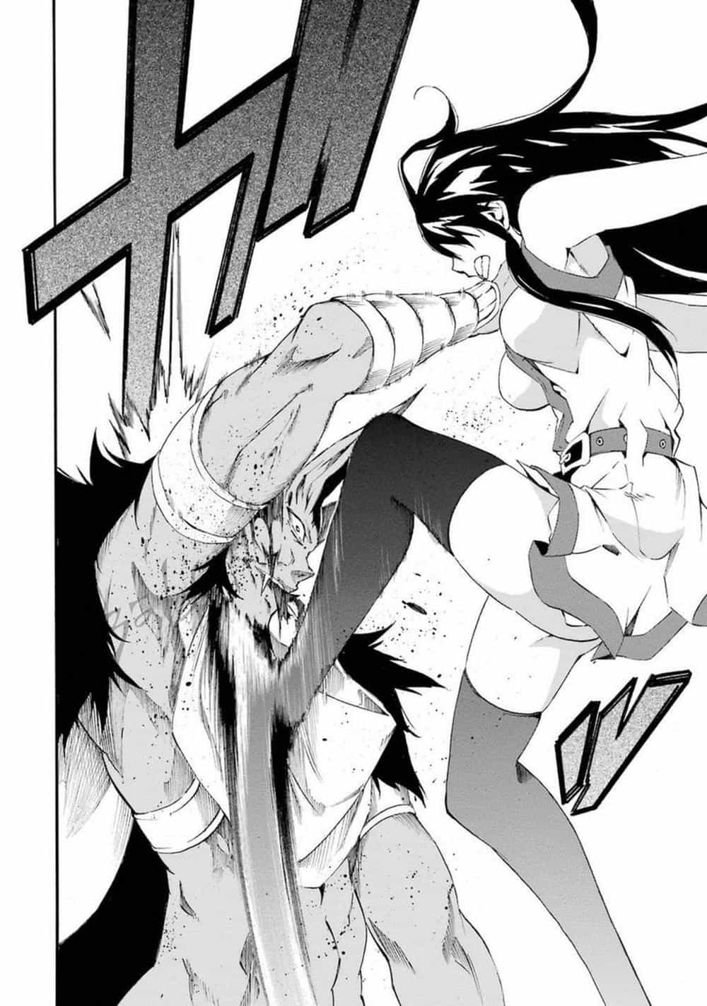 Akame Ga Kill! Zero - Chương 22 - ảnh 29
