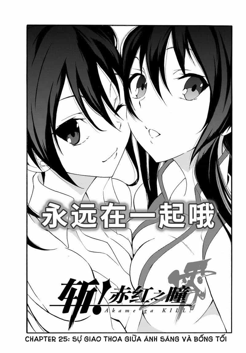 Akame Ga Kill! Zero - Chương 25 - ảnh 2