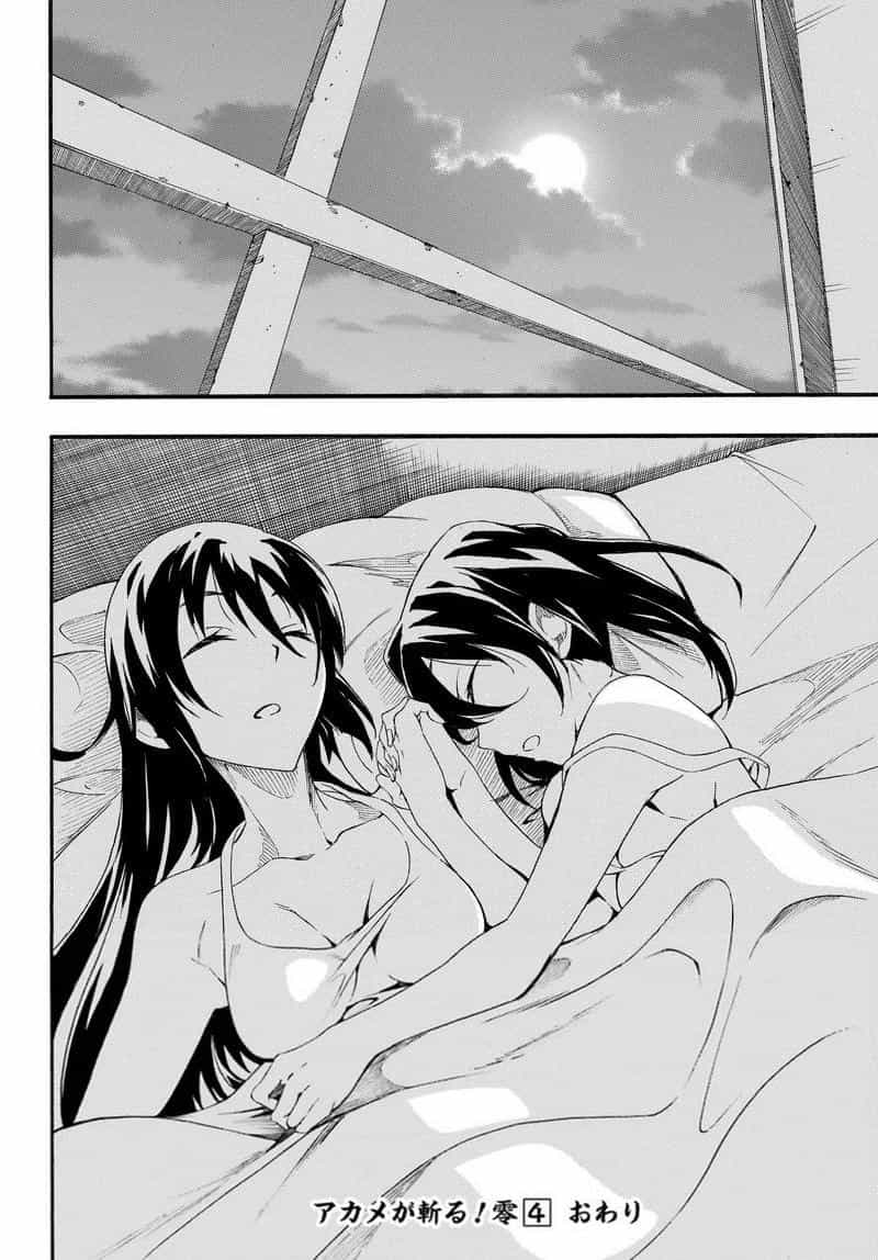 Akame Ga Kill! Zero - Chương 25 - ảnh 25