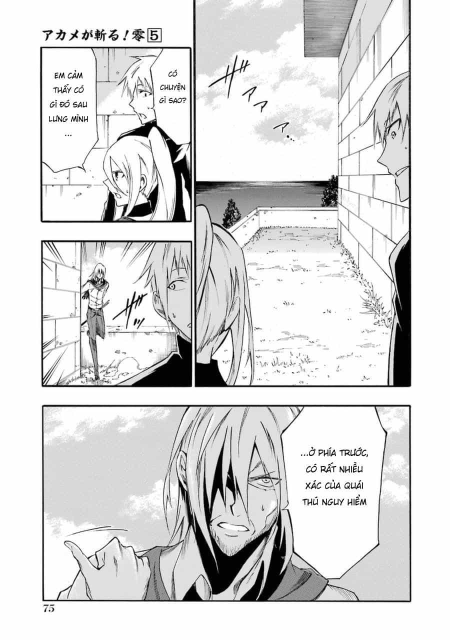 Akame Ga Kill! Zero - Chương 28 - ảnh 26