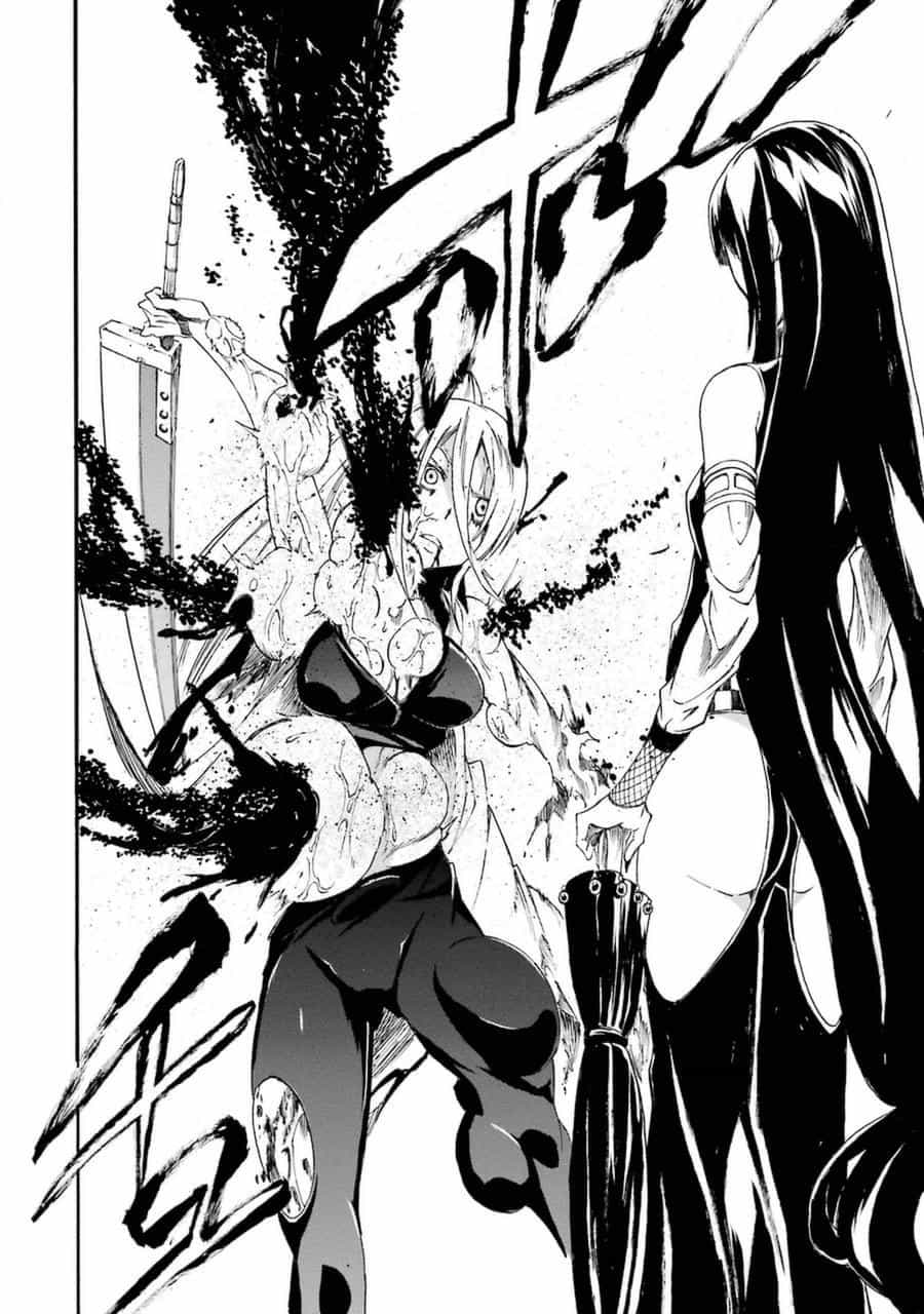 Akame Ga Kill! Zero - Chương 31 - ảnh 29