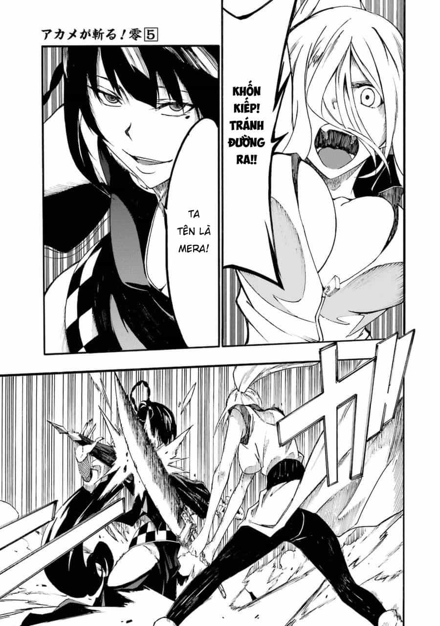 Akame Ga Kill! Zero - Chương 31 - ảnh 4