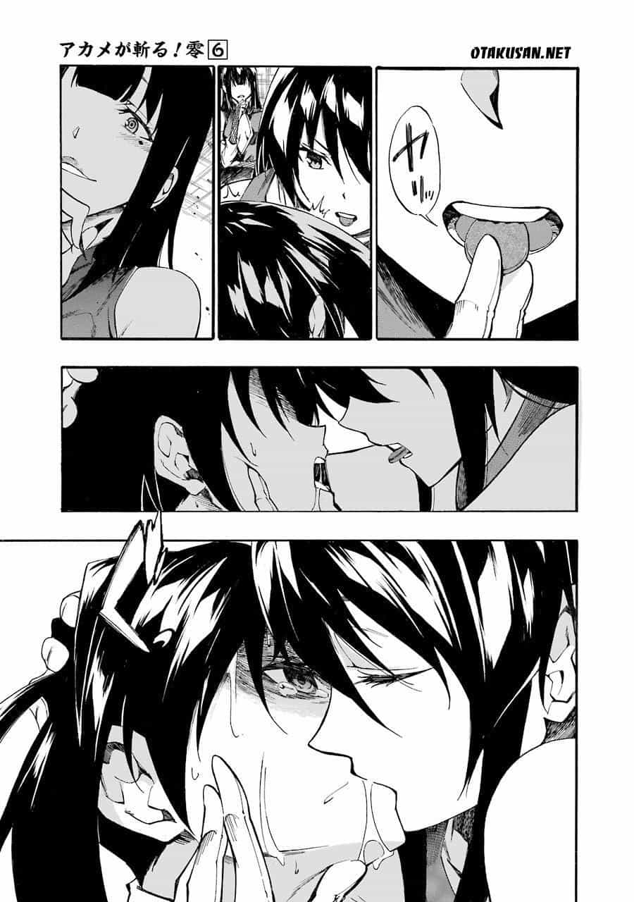 Akame Ga Kill! Zero - Chương 35 - ảnh 14