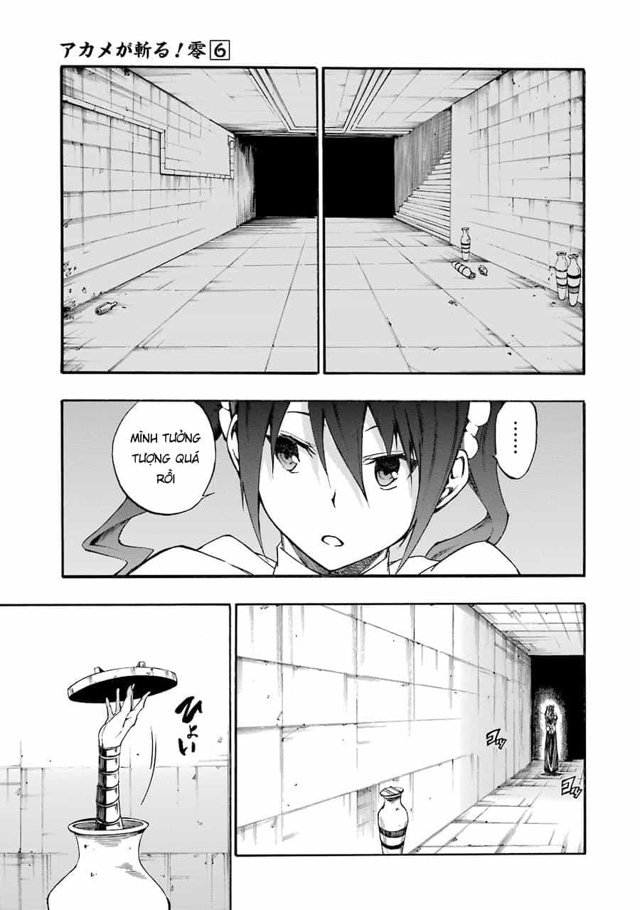 Akame Ga Kill! Zero - Chương 37 - ảnh 19