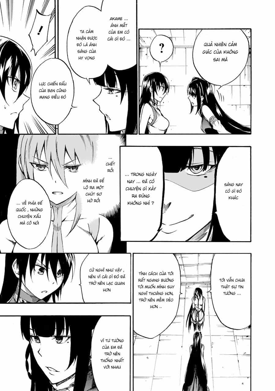 Akame Ga Kill! Zero - Chương 37 - ảnh 40