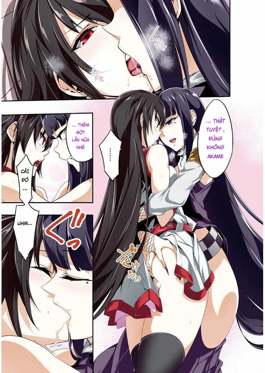 Akame Ga Kill! Zero - Chương 38 - ảnh 2