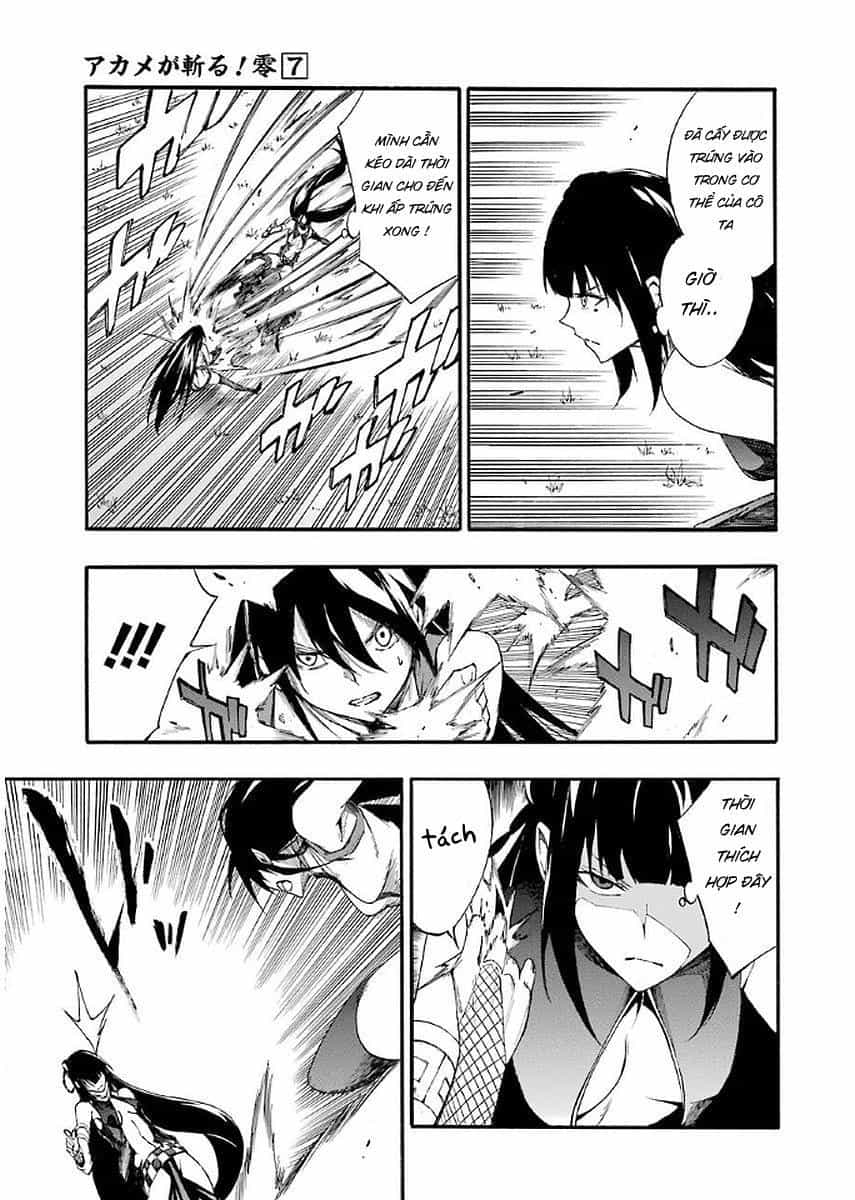 Akame Ga Kill! Zero - Chương 42 - ảnh 9