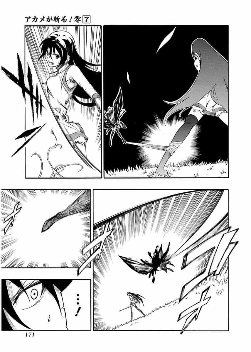 Akame Ga Kill! Zero - Chương 42.5 - ảnh 7