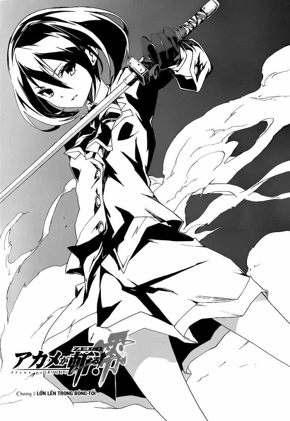 Akame Ga Kill! Zero - Chương 5 - ảnh 3