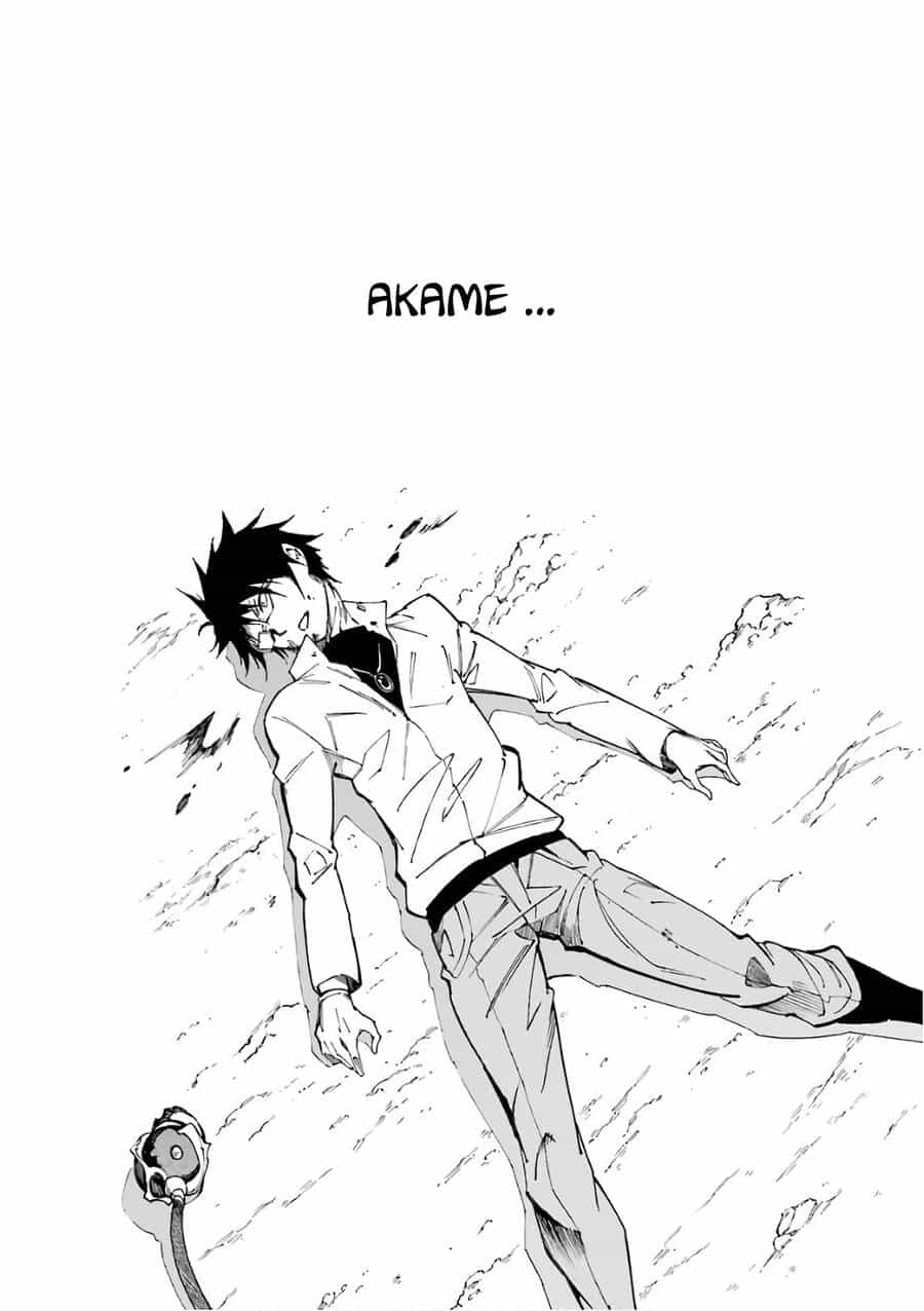 Akame Ga Kill! Zero - Chương 50 - ảnh 19
