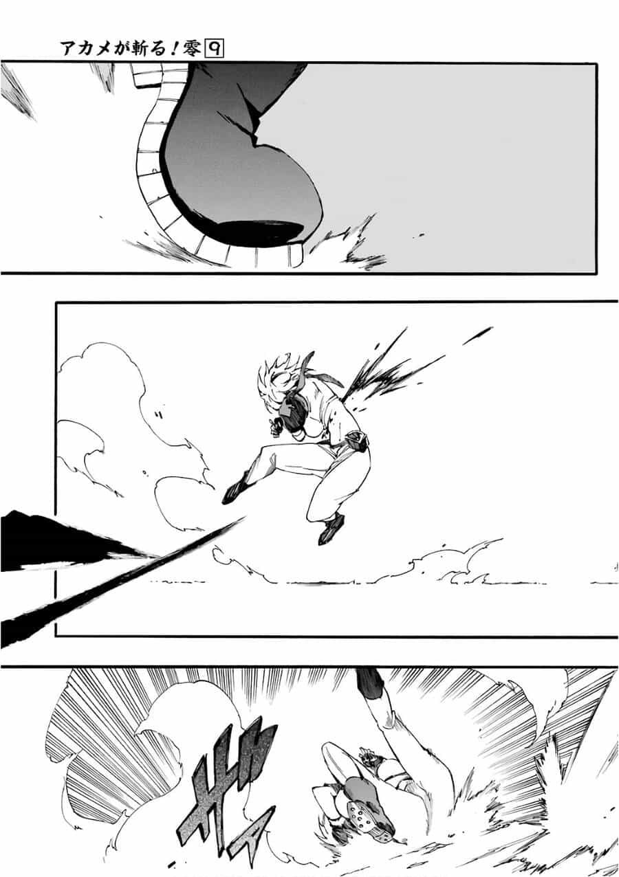 Akame Ga Kill! Zero - Chương 50 - ảnh 23