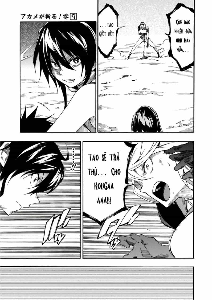 Akame Ga Kill! Zero - Chương 50 - ảnh 25
