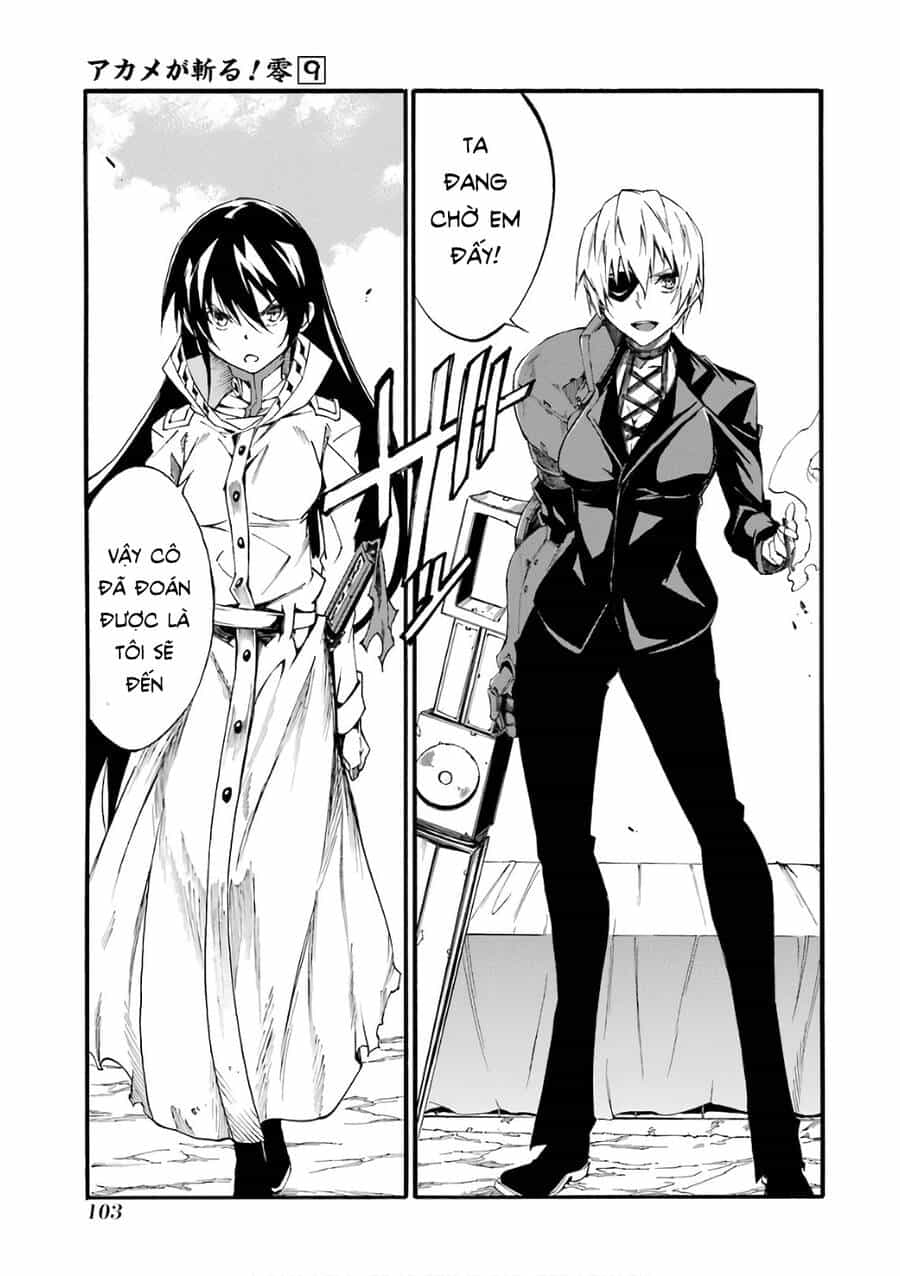 Akame Ga Kill! Zero - Chương 51 - ảnh 20