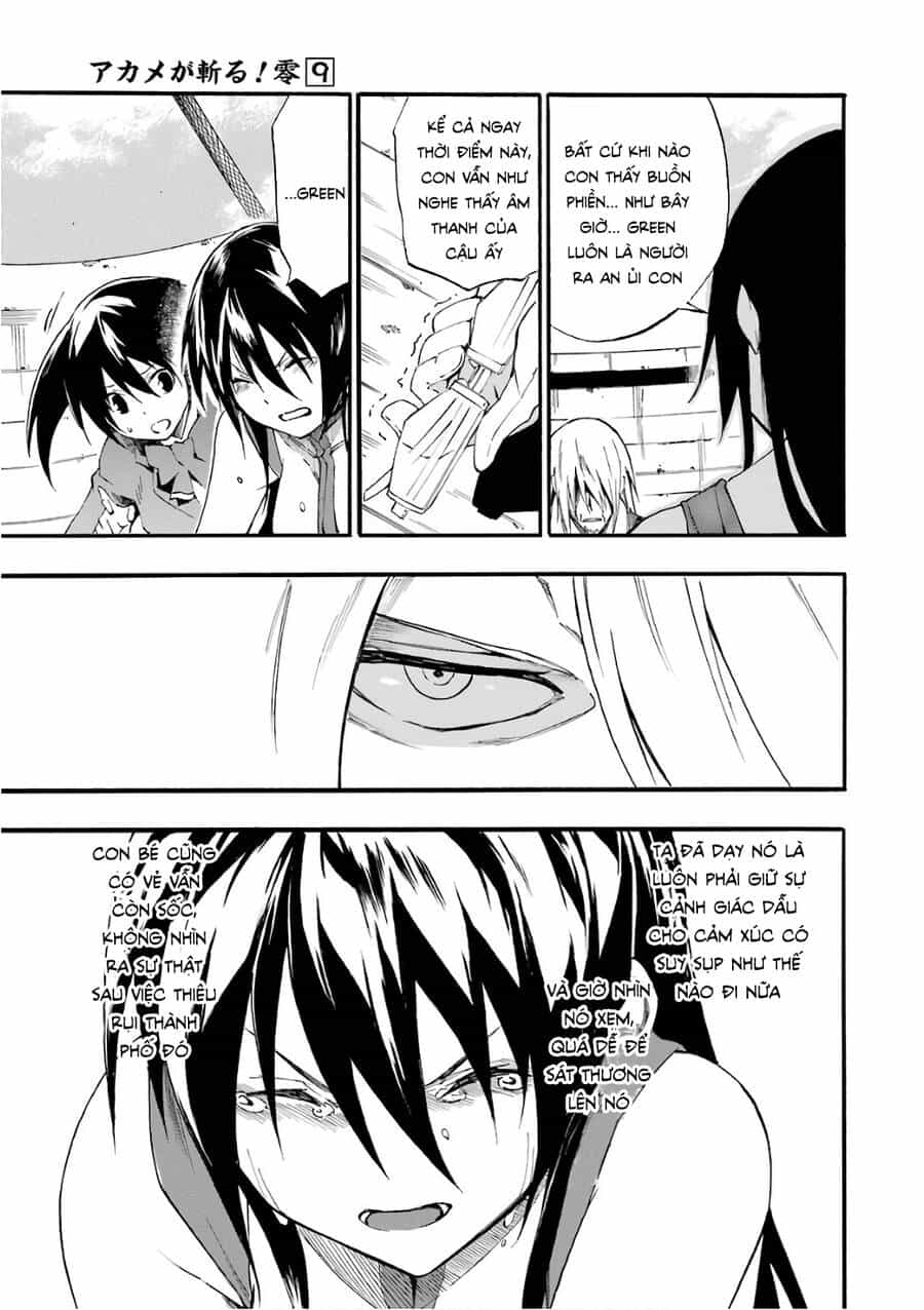 Akame Ga Kill! Zero - Chương 51 - ảnh 8
