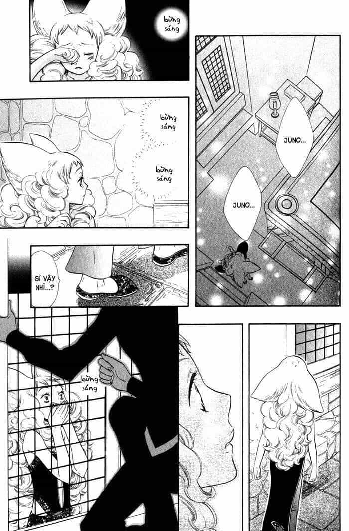 Alone In My King's Harem - Chương 4 - ảnh 22