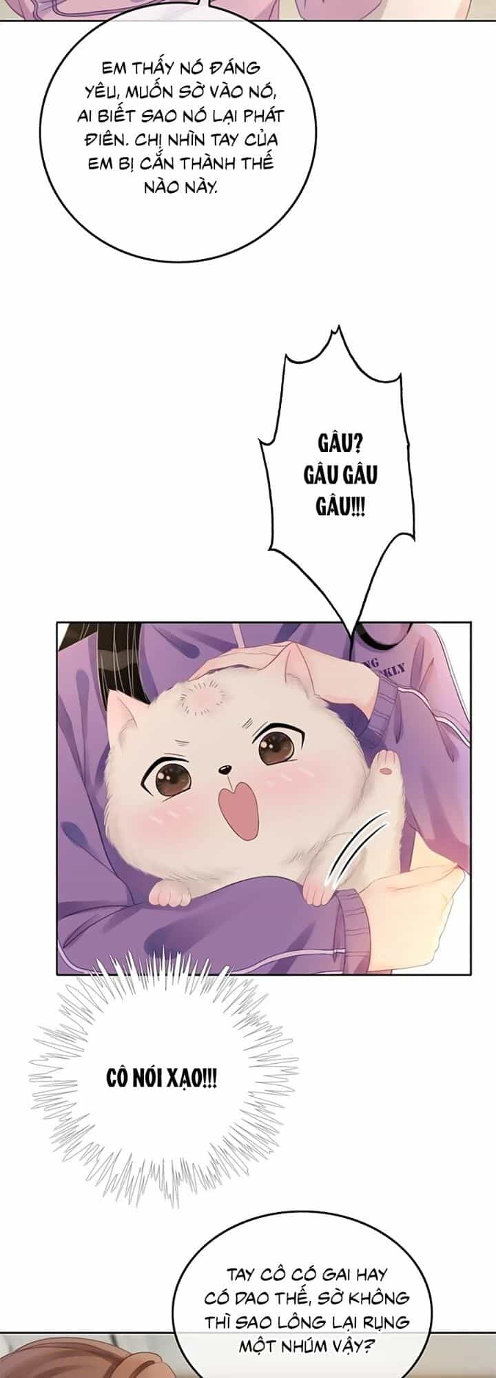Ám Hắc Hệ Noãn Hôn - Chương 21 - ảnh 32