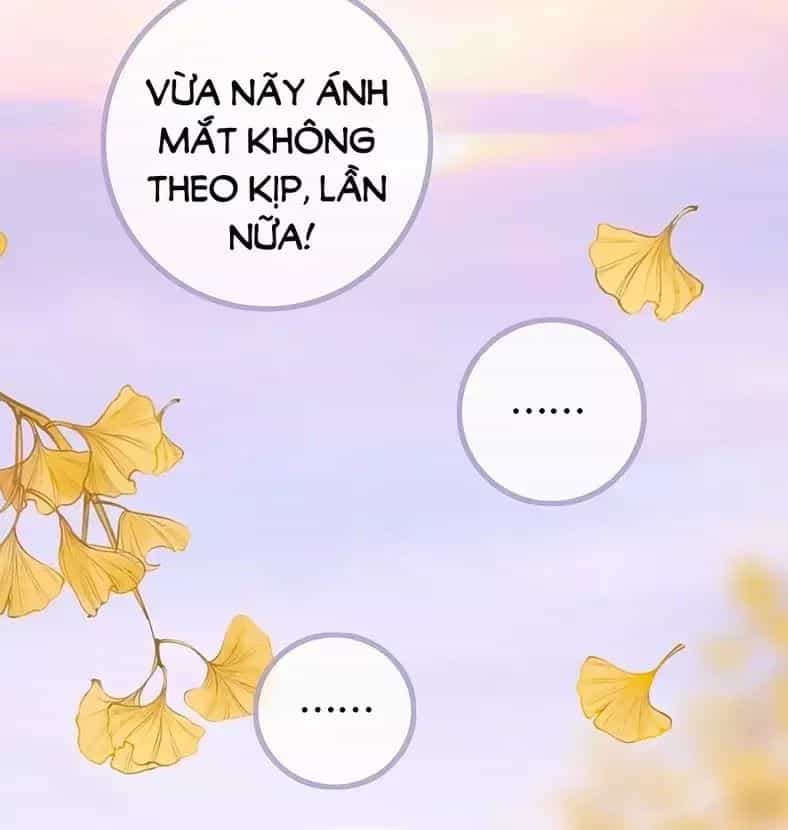 Ám Hắc Hệ Noãn Hôn - Chương 6 - ảnh 45