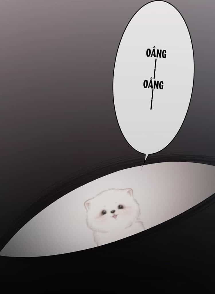 Ám Hắc Hệ Noãn Hôn - Chương 8 - ảnh 14