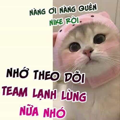 Ấm Hôn 100 Ngày - Chương 38 - ảnh 28