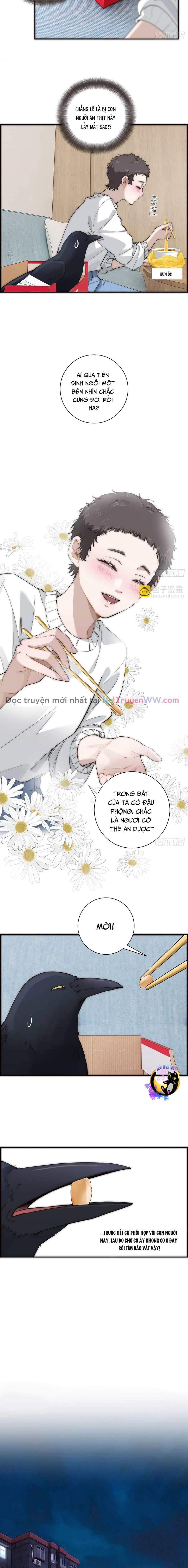 Ân Nhân Của Tôi Không Phải Học Giả - Chương 37 - ảnh 6