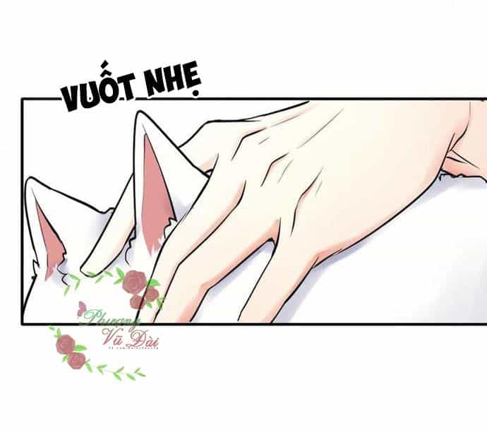 Ảnh Đế Cầu Sủng - Chương 2 - ảnh 31