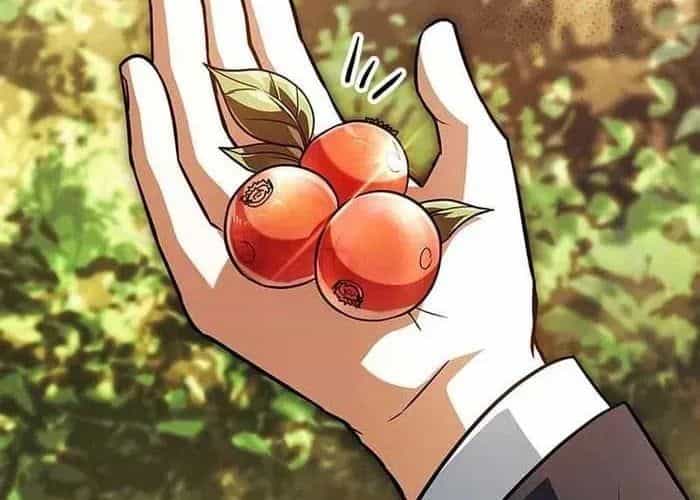 Anh Hùng Huyền Thoại Là Học Viên Danh Dự Của Học Viện - Chương 55 - ảnh 204