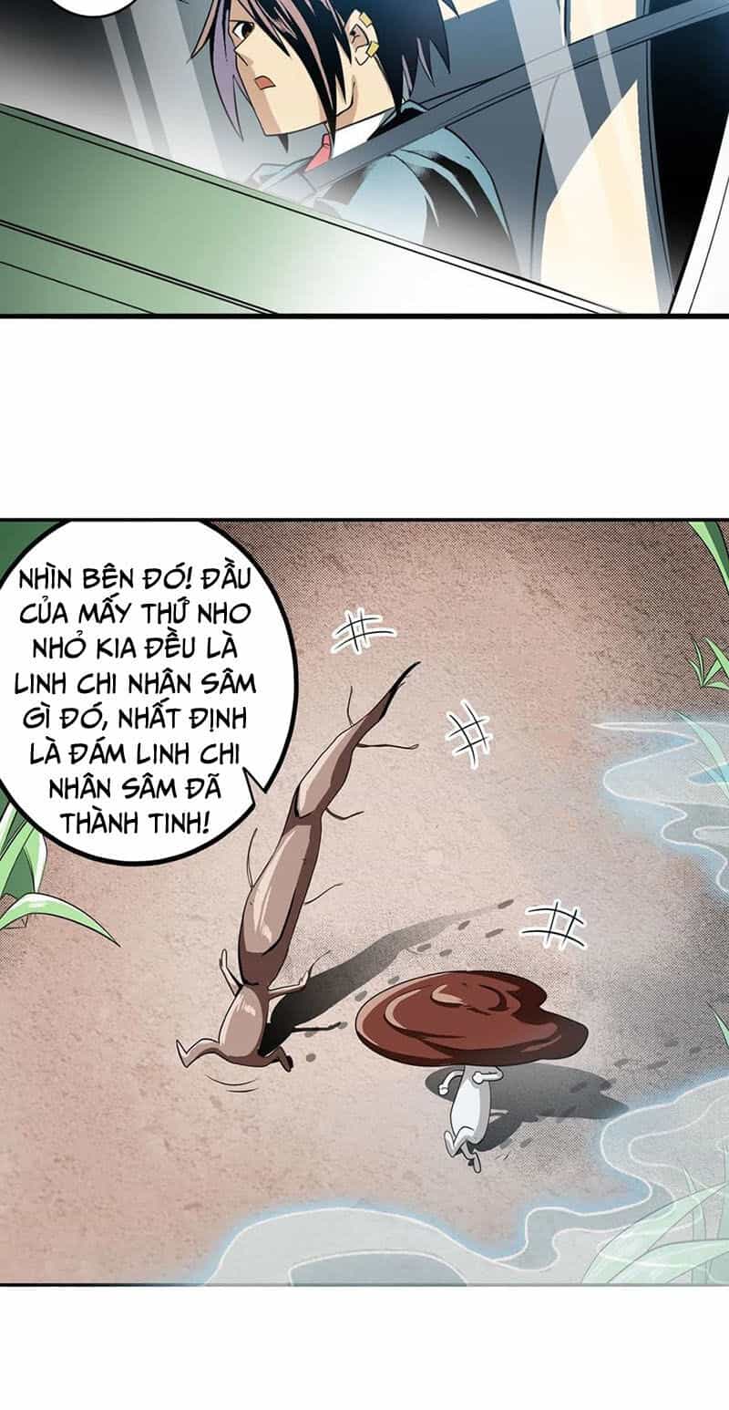 Anh Hùng ? Ta Không Làm Lâu Rồi - Chương 238 - ảnh 3