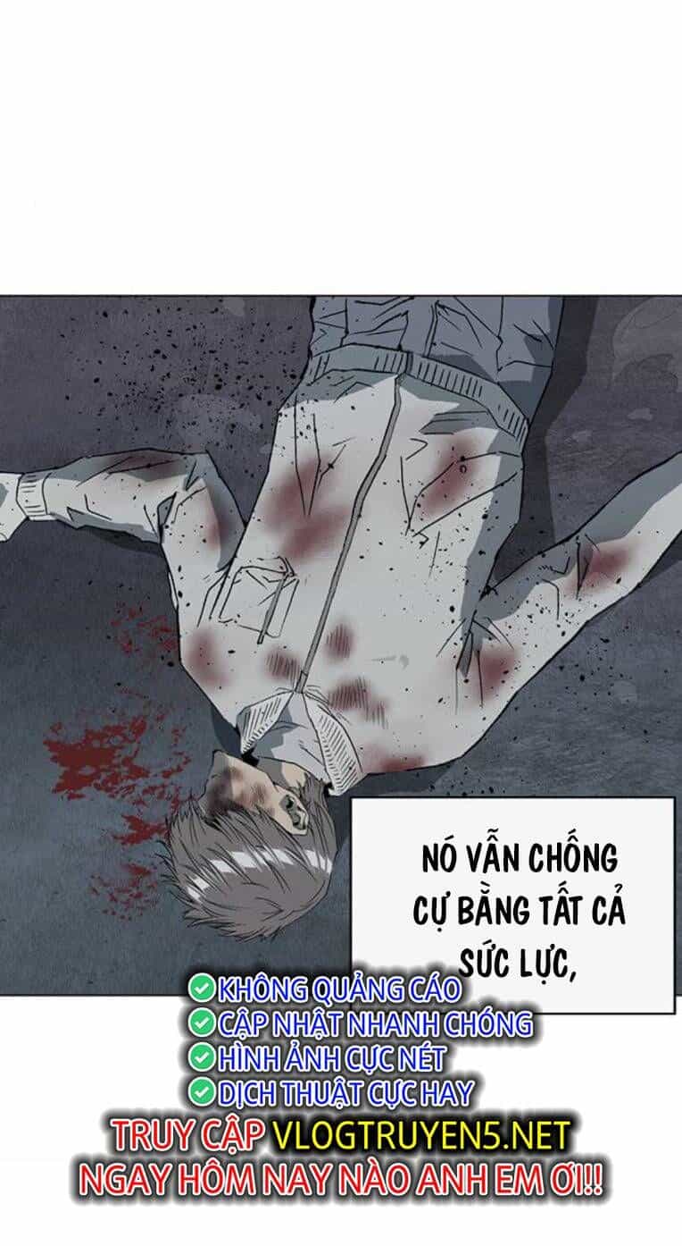 Anh Hùng Yếu - Chương 254 - ảnh 94