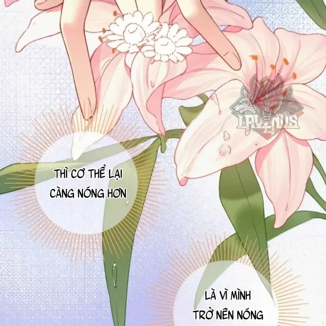 Ảnh Riêng Tư - Chương 56 - ảnh 28