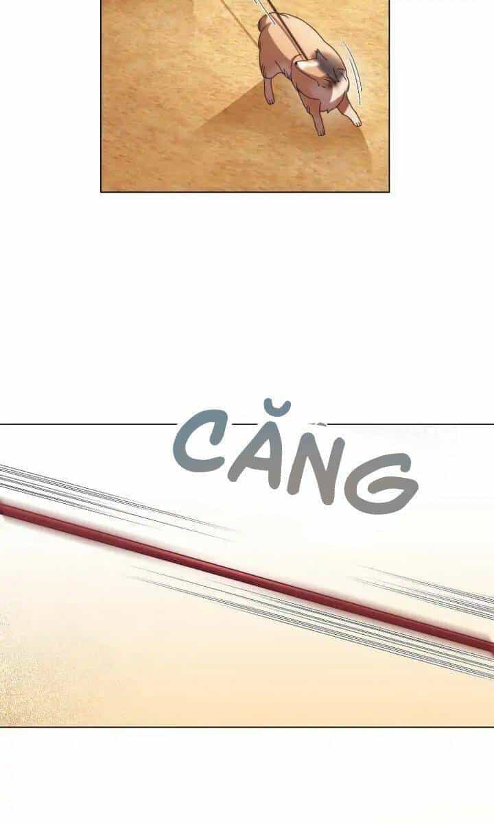 Ánh Sáng Vàng Của Bình Minh - Chương 1 - ảnh 52