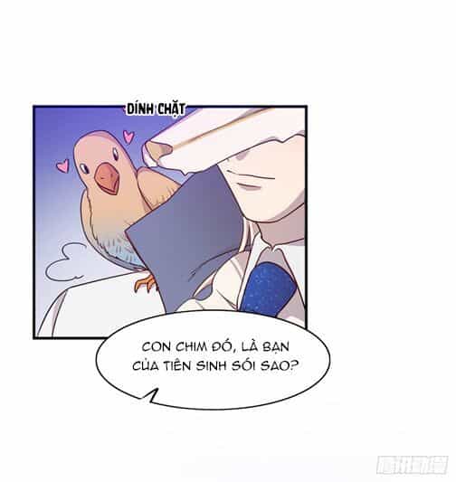 Anh Trai Ma Cà Rồng Và Bạn Trai Người Sói Của Tôi - Chương 17 - ảnh 10