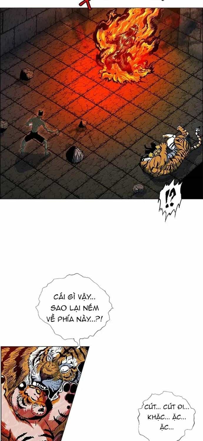 Anh Trai Tôi Là Hổ - Chương 143 - ảnh 11