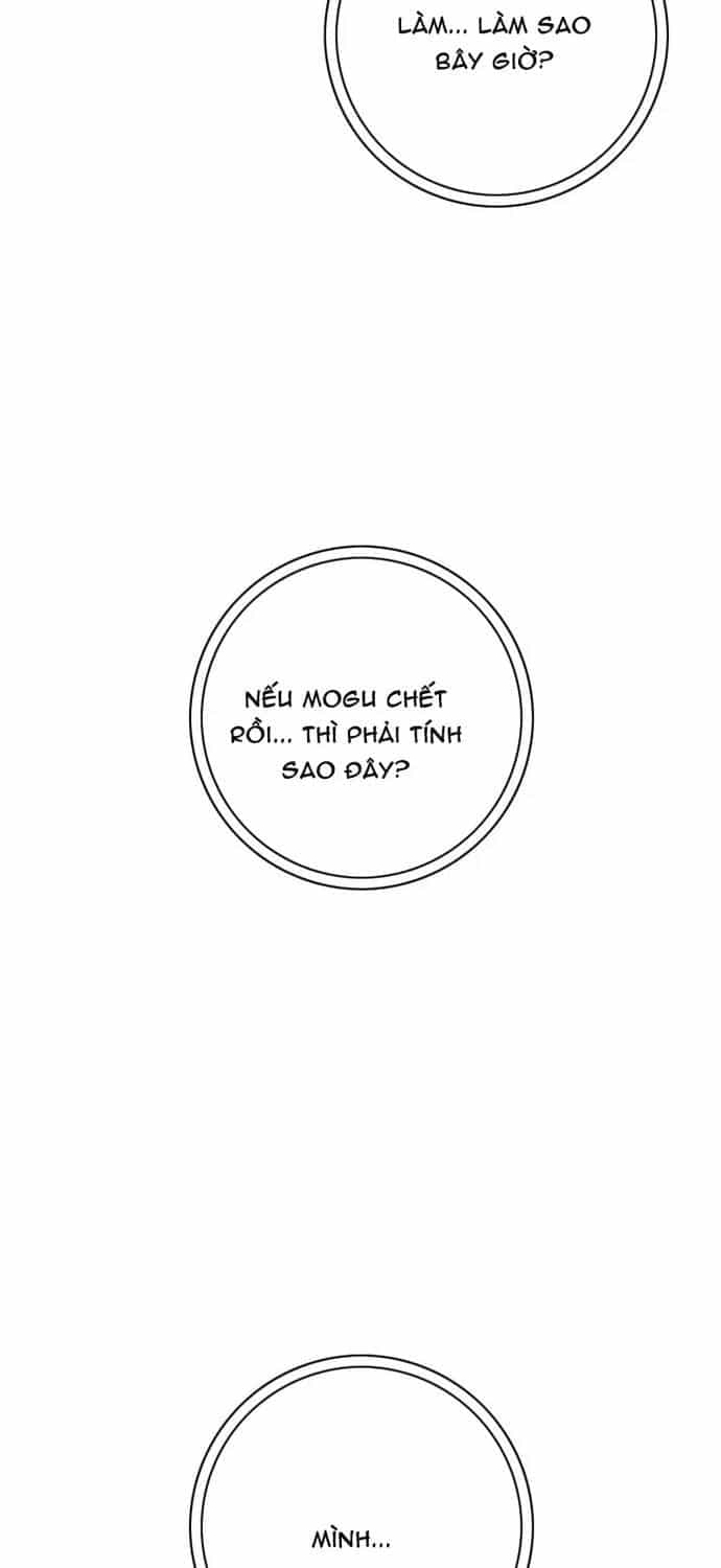 Anh Trai Tôi Là Hổ - Chương 144 - ảnh 40