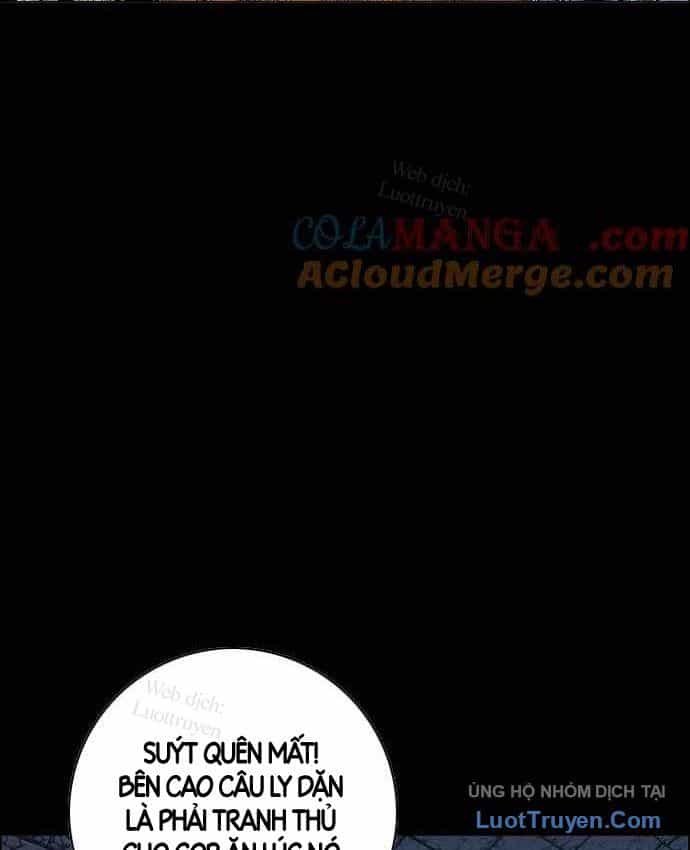 Anh Trai Tôi Là Hổ - Chương 152 - ảnh 28