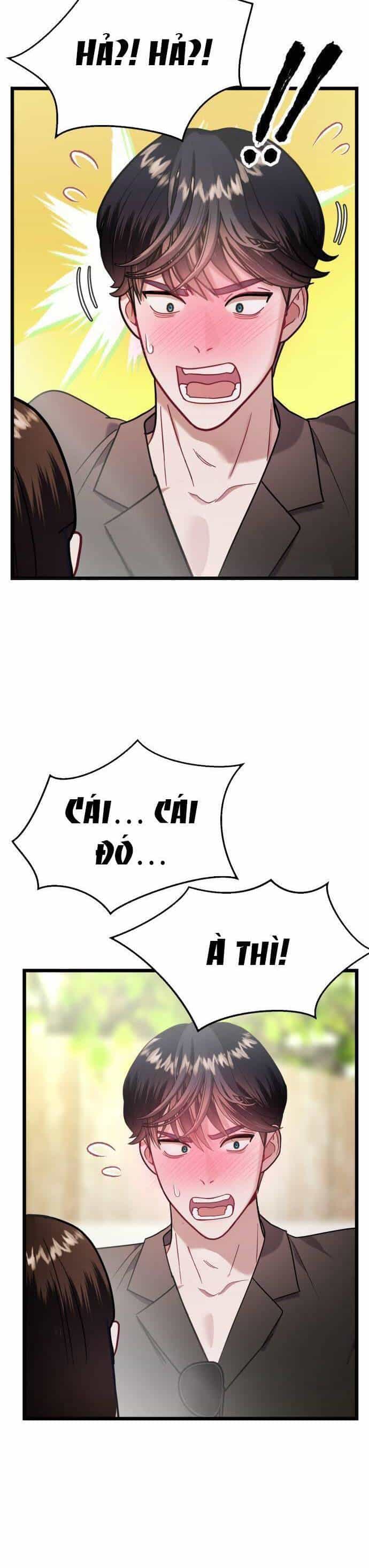 Ảo Thuật Gia Quyến Rũ - Chương 21.2 - ảnh 2