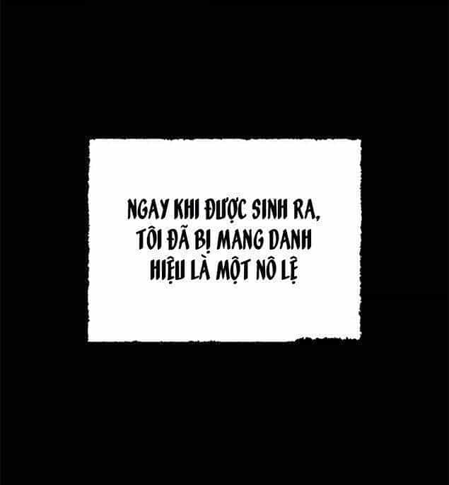 Ba Người Anh Trai Của Tôi Là Bạo Quân - Chương 4 - ảnh 17