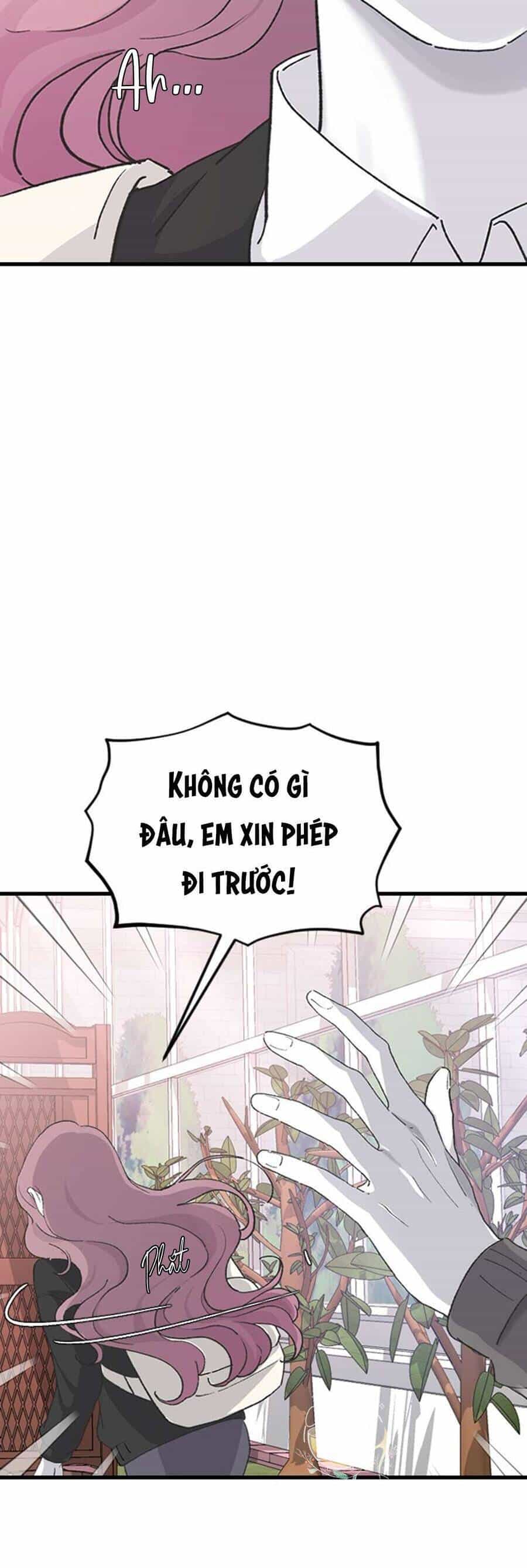 Ba Người Anh Trai Cực Phẩm Của Tôi - Chương 65 - ảnh 39