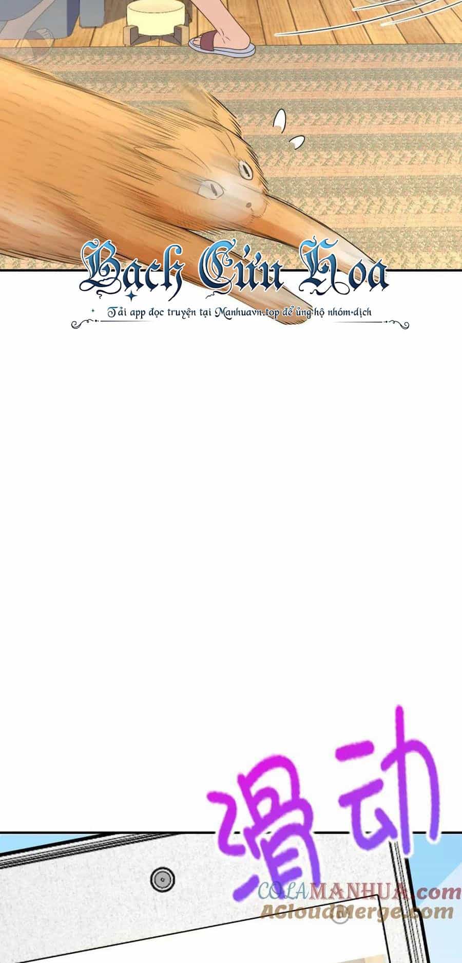 Bà Xã Nhà Tôi Đến Từ Ngàn Năm Trước - Chương 209 - ảnh 9