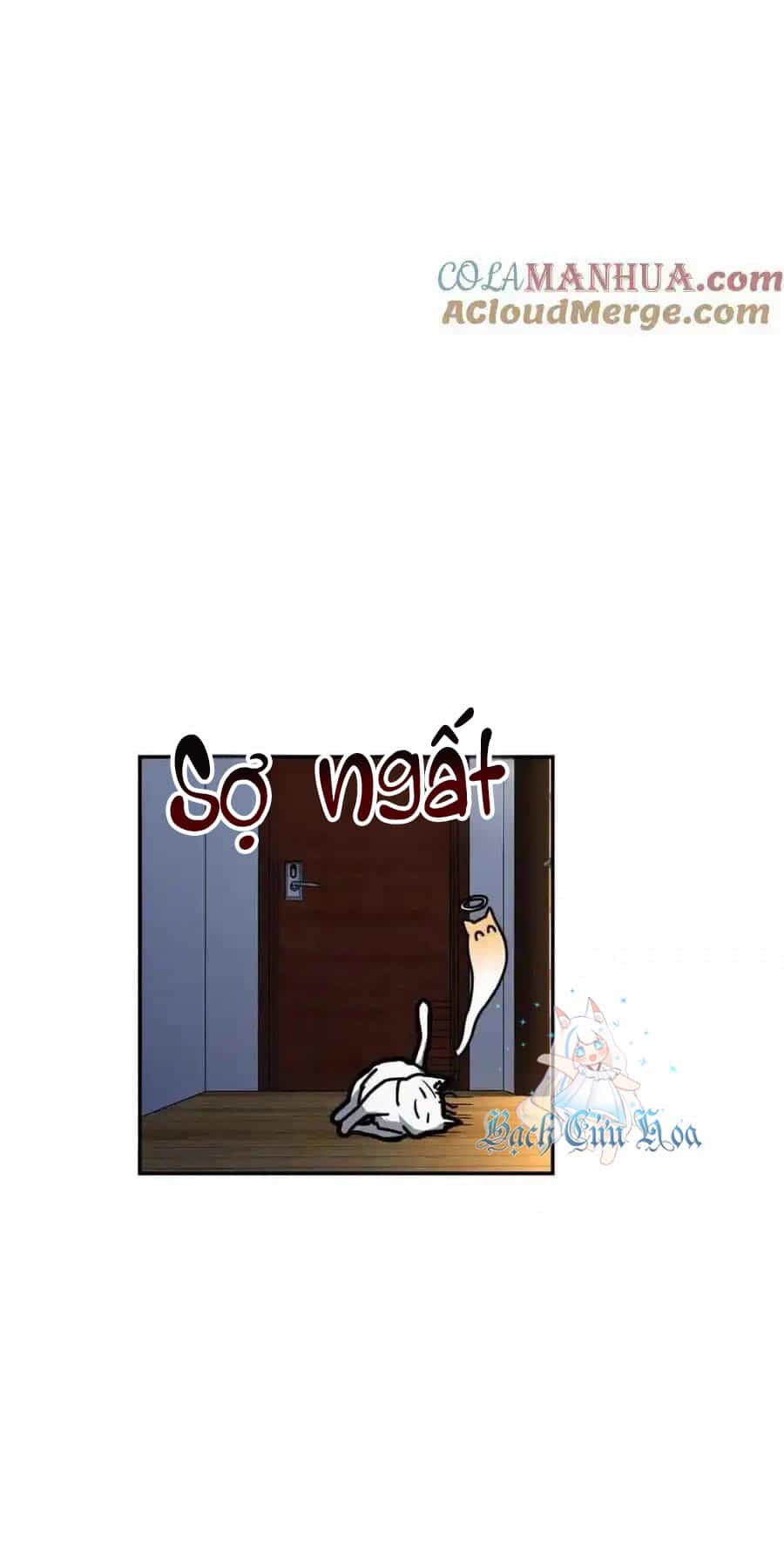 Bà Xã Nhà Tôi Đến Từ Ngàn Năm Trước - Chương 238 - ảnh 49
