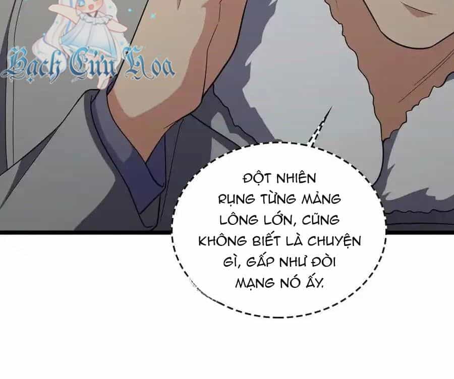 Bà Xã Nhà Tôi Đến Từ Ngàn Năm Trước - Chương 272 - ảnh 114