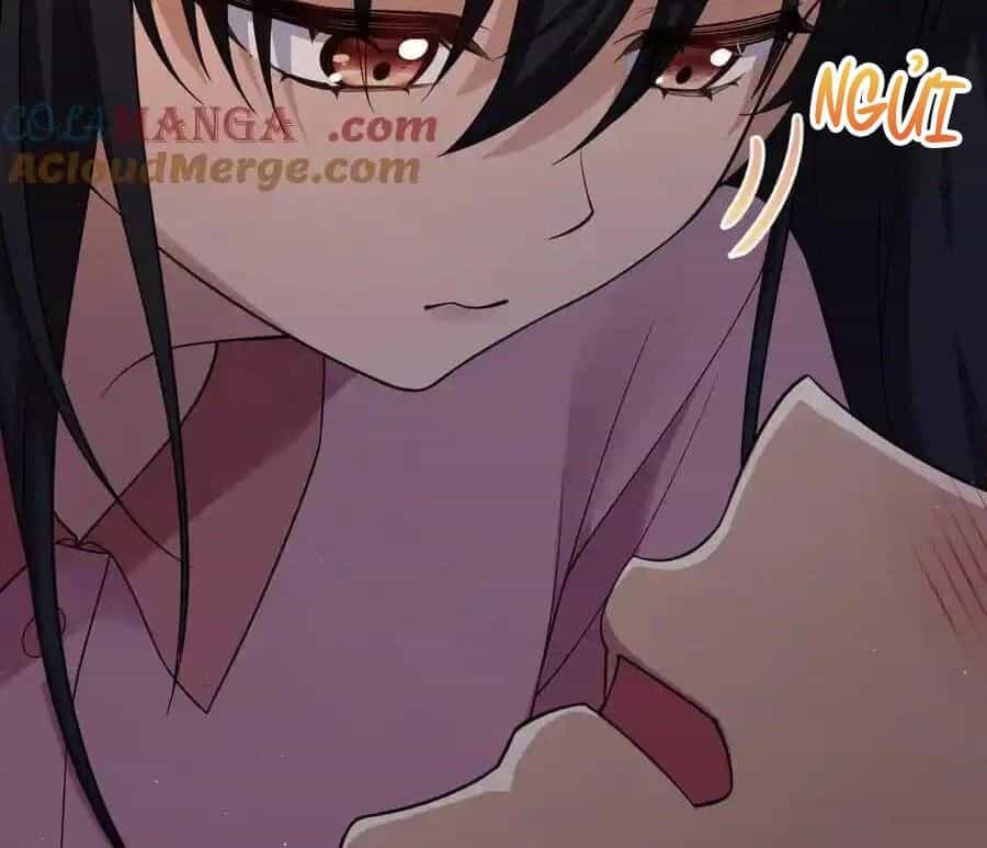 Bà Xã Nhà Tôi Đến Từ Ngàn Năm Trước - Chương 272 - ảnh 19