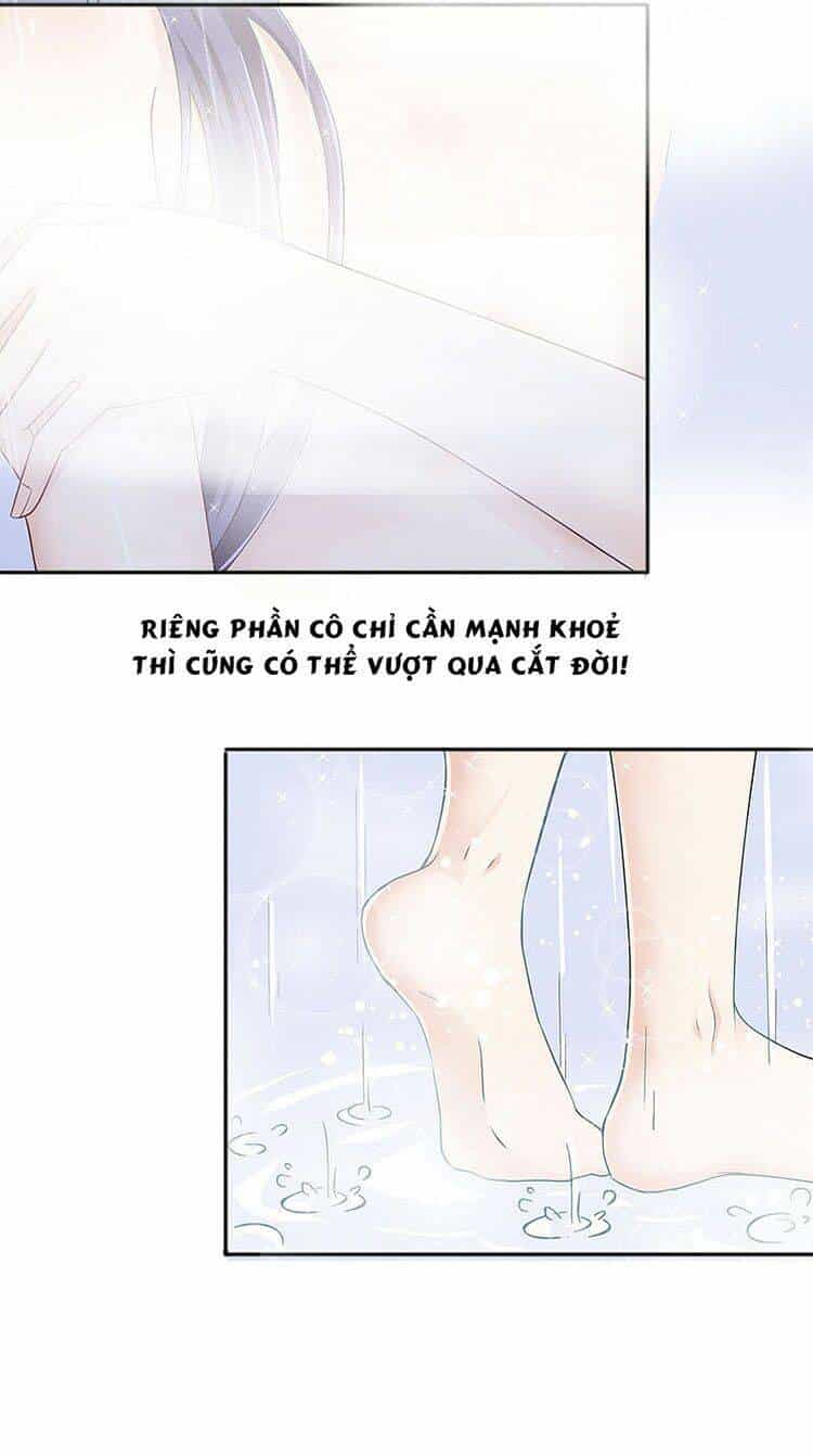 Bà Xã Quyến Rũ Trí Mạng: Tổng Tài Muốn Tái Hôn - Chương 1 - ảnh 24
